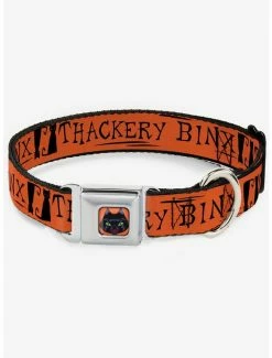 Flash Sale 😍 Hocus Pocus Thackery Binx Cat Silhouette Seatbelt 🦮 Dog Collar 🛒